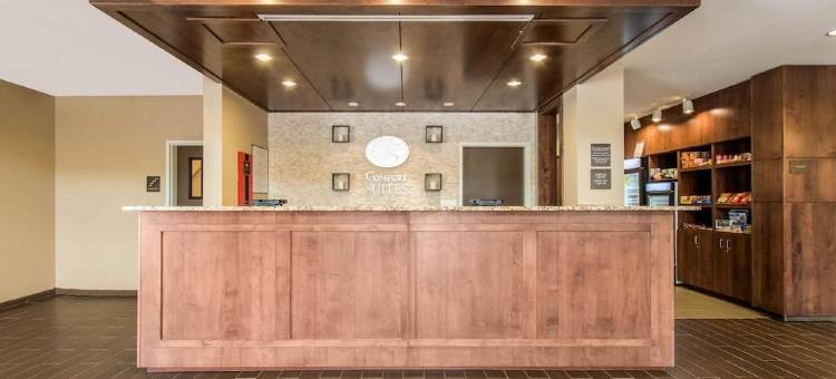 舒适套房酒店-近丹佛安舒茨医学院(Comfort Suites Denver Near Anschutz Medical Campus)图片