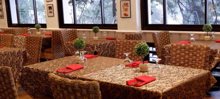 矿山公园酒店(Mines View Park Hotel)图片