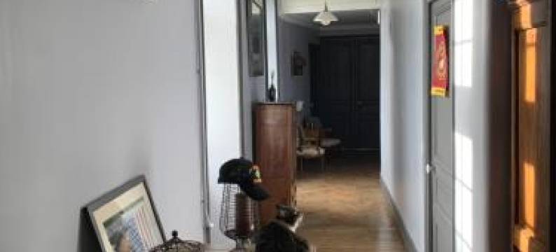 CHÂTEAU de Franquetot & D Day Collins Museum图片