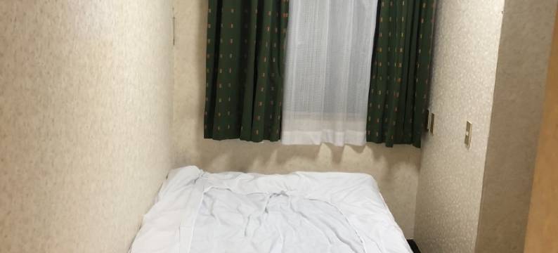 新柏酒店(Hotel New Kashiwa)图片