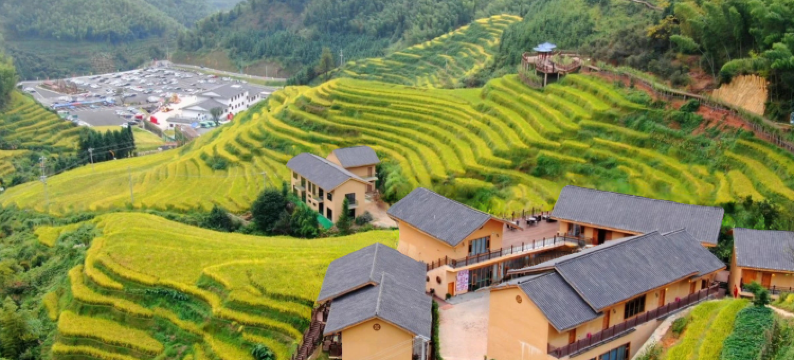 崇义朴宿民宿图片