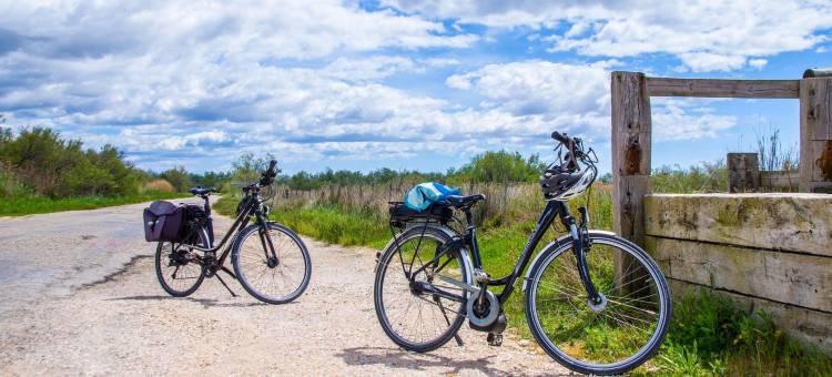 索恩河畔沙隆康铂酒店(Campanile Chalon Sur Saone)图片