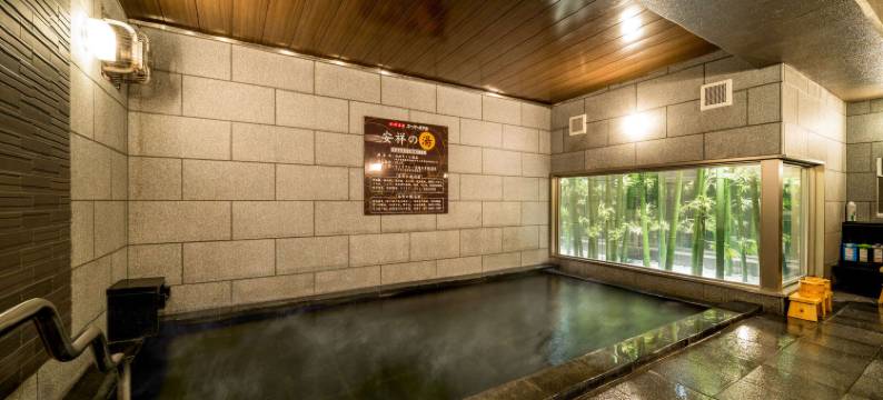 超级酒店安城站前(Super Hotel Anjo)图片