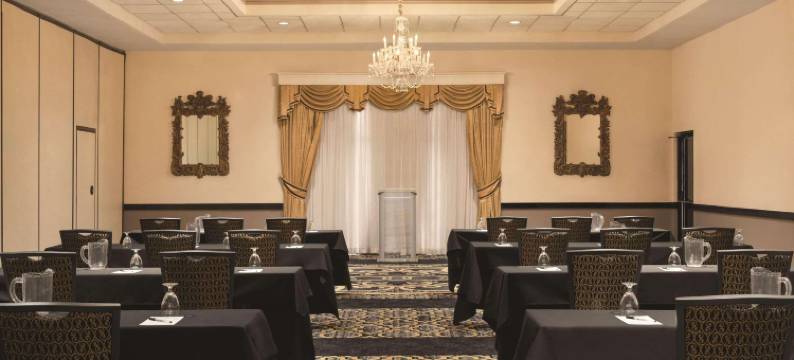 丽笙酒店和会议中心-罗克福德(Radisson Hotel & Conference Center Rockford)图片