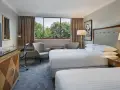 豪華客房 - 2張雙人床