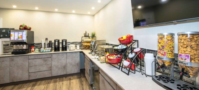 山麓汽车旅馆(Econo Lodge Inn & Suites)图片