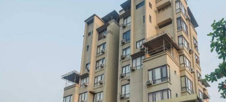 Collection O Phoenix图片