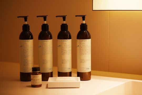 The Tokyo Edition, Ginza Over view