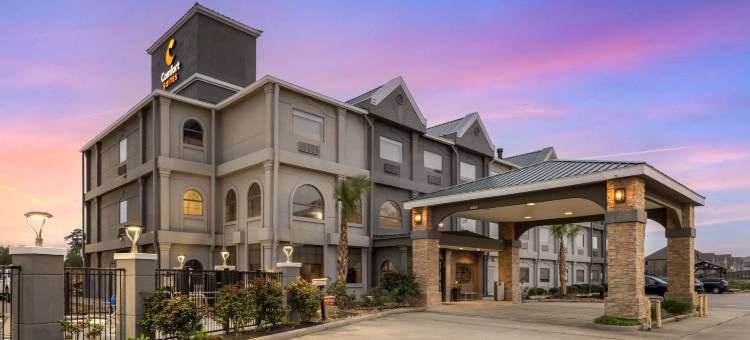 舒适套房-申纳多亚-伍德兰兹(Country Inn & Suites by Radisson, The Woodlands)图片