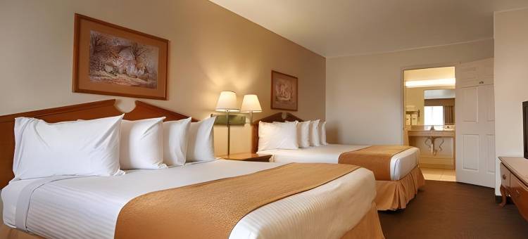 圣安吉洛戴斯酒店(Days Inn by Wyndham San Angelo)图片