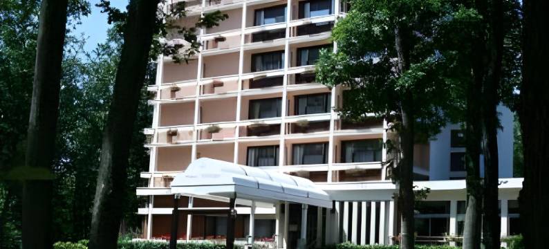 大君主酒店(Le Grand Monarque)图片