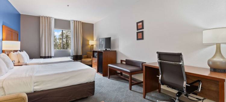 伦巴德阿狄森舒适套房酒店(Comfort Suites Lombard/Addison)图片