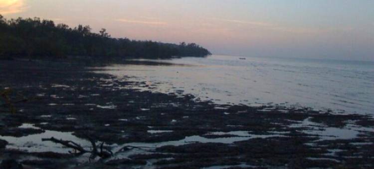 奥依科斯酒店(The Oikos Hotel)图片