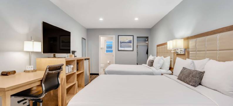 伯克利萨瑟，贝斯特韦斯特SureStay酒店(Sather Berkeley, SureStay Collection by BW)图片