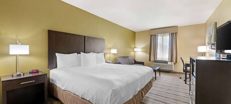 水滨贝斯特韦斯特酒店(Best Western Edgewater Inn)图片