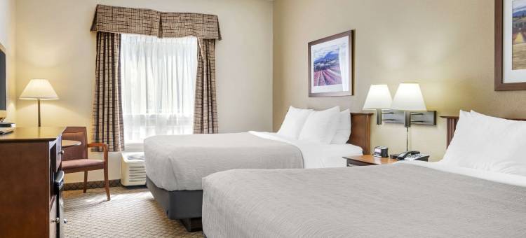 凯艺酒店-机场(Quality Inn Airport)图片