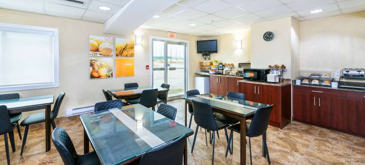 埃德森舒适酒店(Comfort Inn & Suites)图片