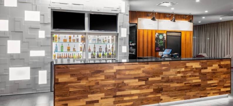 东兰辛奥克莫斯万豪万怡酒店(Courtyard East Lansing Okemos)图片