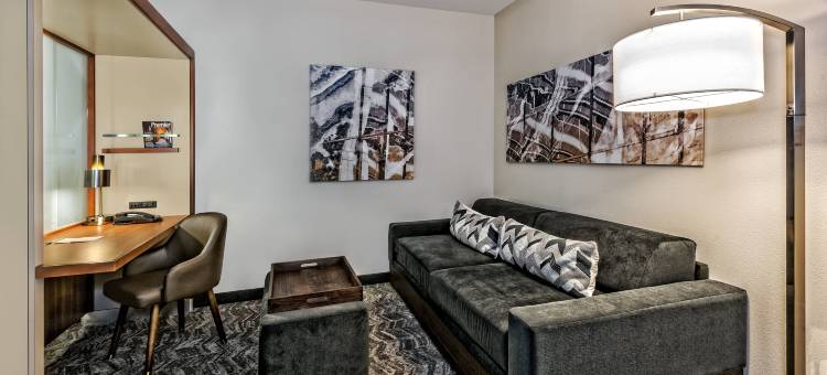 圣安东尼奥机场万豪SpringHill酒店(SpringHill Suites San Antonio Airport)图片