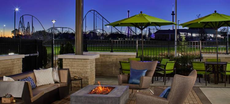 夏洛特卡罗温兹万豪SpringHill Suites酒店(SpringHill Suites Charlotte at Carowinds)图片