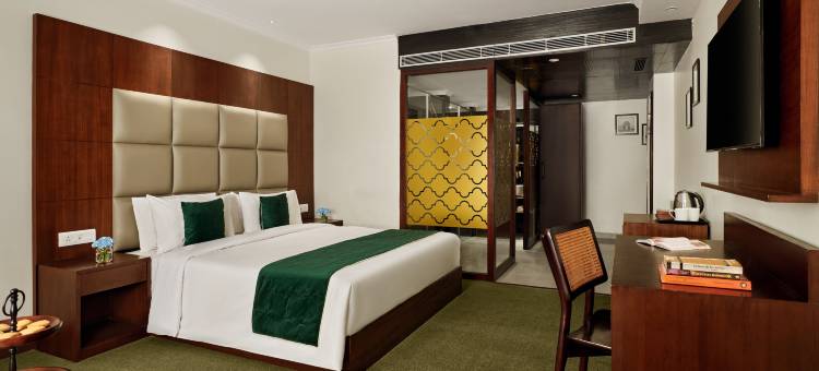 德文彻萨罗瓦波蒂科帕特尔纳加尔(Deventure Sarovar Portico Patel Nagar)图片