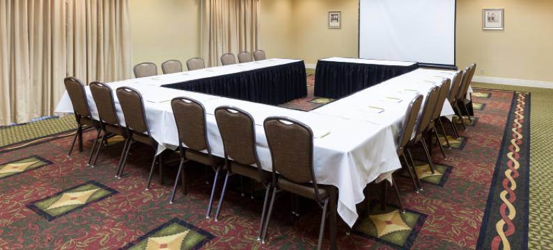 迈克艾伦机场希尔顿花园酒店(Hilton Garden Inn McAllen Airport)图片