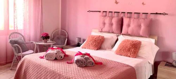 Butterfly House图片