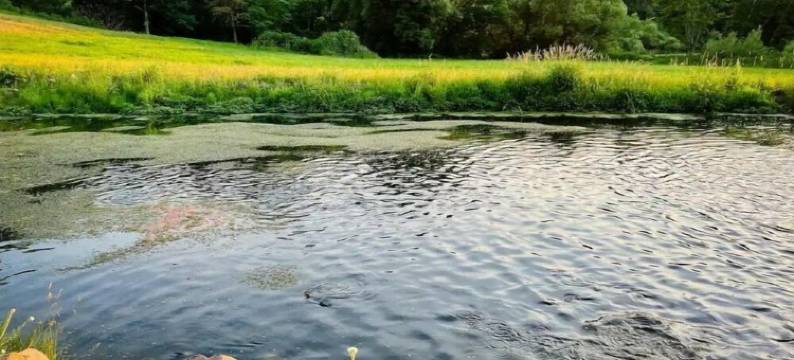 Lake Osceola Retreat 100-Acre Private Lake Home图片