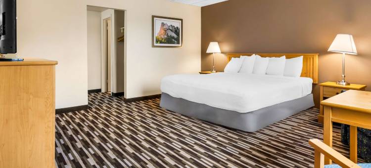 张伯伦李斯贝斯特韦斯特酒店(Best Western Lees Motor Inn)图片