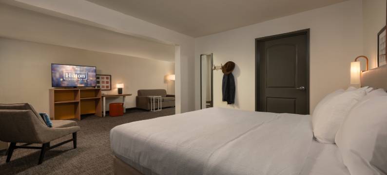 休斯顿布什洲际机场希尔顿Spark酒店(Spark by Hilton Houston Bush Intercontinental Airport)图片