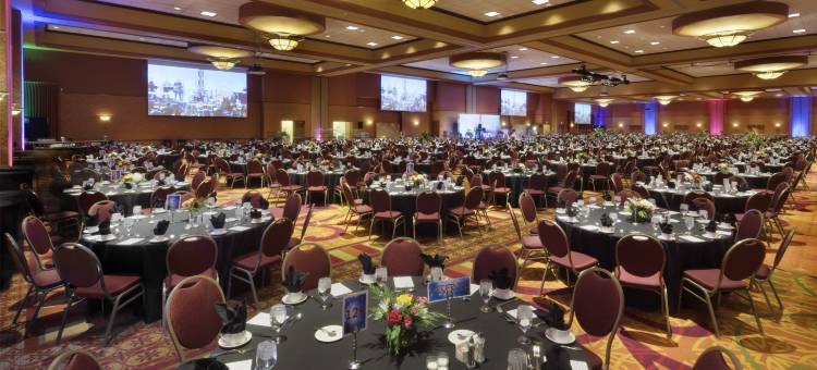 奥马哈拉维斯塔安泊套房酒店及会议中心(Embassy Suites by Hilton Omaha la Vista Hotel & Conference Center)图片