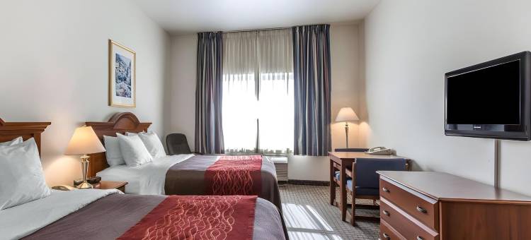 汉福德勒穆尔舒适酒店(Comfort Inn Hanford Lemoore)图片