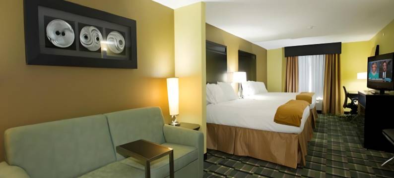 智选假日套房酒店莫里尔顿(Holiday Inn Express & Suites MORRILTON by IHG)图片