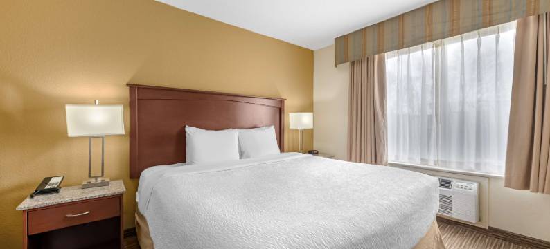 科罗拉多斯普林斯行政贝斯特韦斯特套房酒店(Best Western Executive Inn  Suites)图片