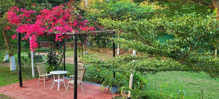 黄竹水疗度假村(The Yellow Bamboo Resort & Spa)图片