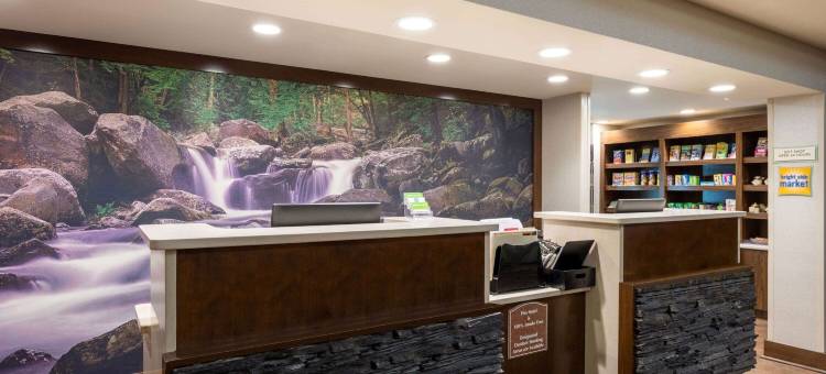 鸽子谷拉昆塔温德姆套房酒店(La Quinta Inn & Suites by Wyndham Pigeon Forge)图片