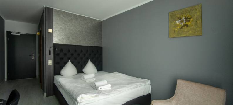 SL'otel帕福斯豪斯酒店(SL'Otel im Parforcehaus)图片