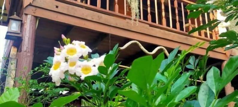 美塔乡村景观民宿(Singburi)(Metha Country View Homestay Singburi)图片