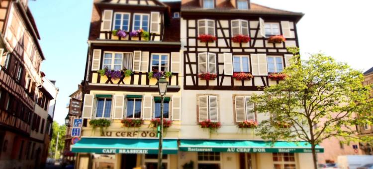 金厨酒店(Logis Hôtel Restaurant Au Cerf d'Or)图片