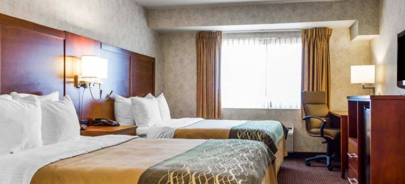 沃森维尔舒适酒店(Comfort Inn Watsonville)图片