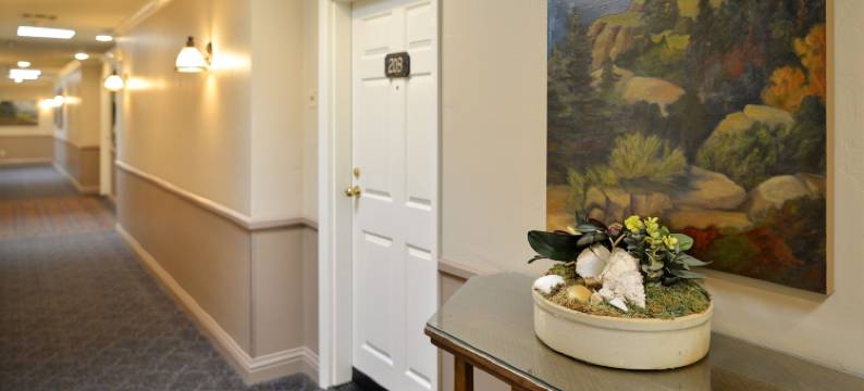 砂卵石酒店(Sand Pebbles Inn)图片