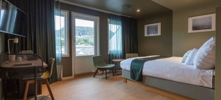 马里提姆峡湾酒店(Maritim Fjordhotel)图片