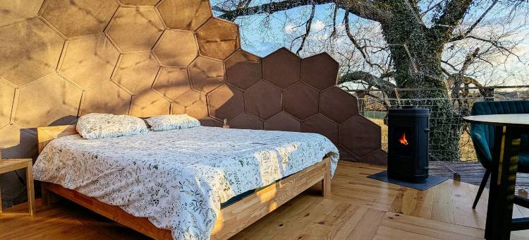 拉蒂格栖息地泡沫酒店(Les Bulles perchées de Lartigue)图片