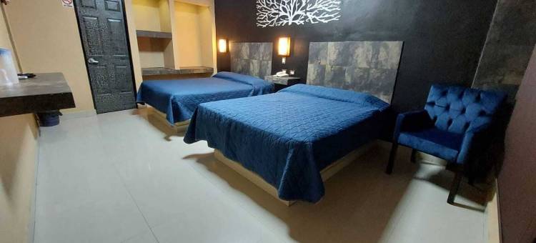 La Silla酒店(Hotel la Silla)图片