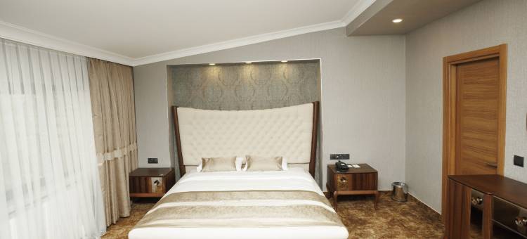 安纳蒙乌萨克酒店(Anemon Kent Uşak Hotel)图片