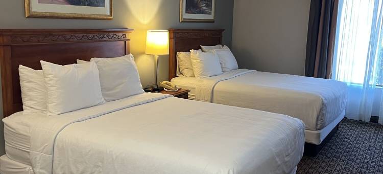 秀拉酒店(Hotel Xola)图片