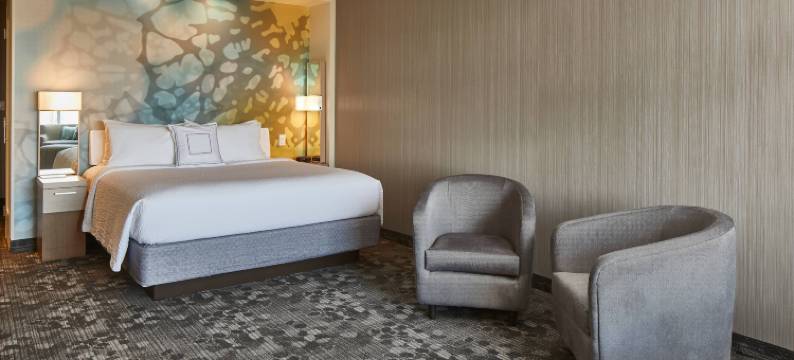 奥尔巴尼特洛伊海滨万怡酒店(Courtyard Albany Troy/Waterfront)图片