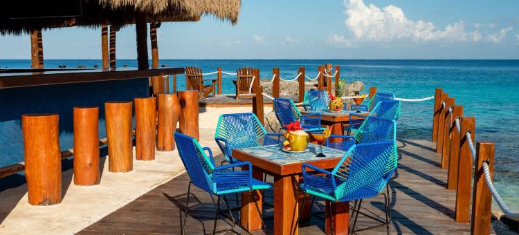 蔚蓝海滩酒店-高尔夫/水肺潜水/Spa(Playa Azul Cozumel)图片