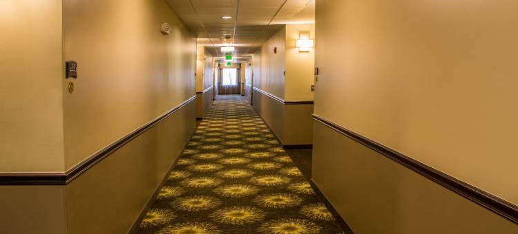 Staybridge Suites Schererville图片