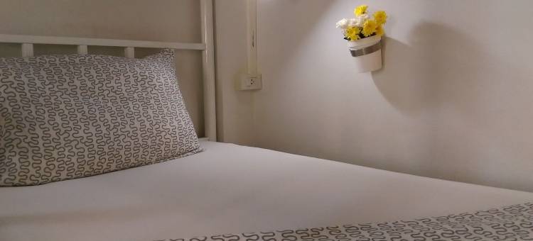 莎莎旅馆(Salsa Hostel)图片